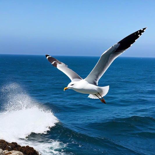 S E : Seagull real