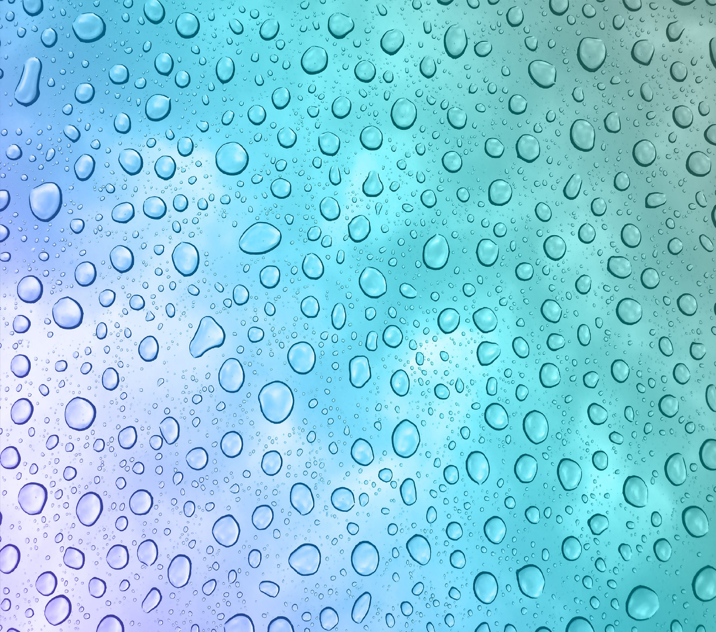 Wrap Watertrops (2)