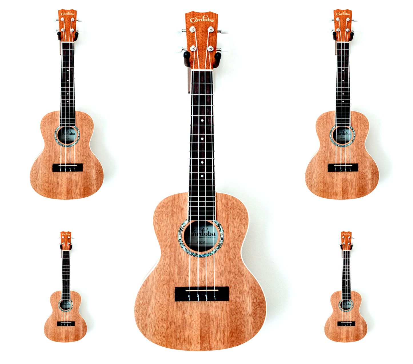 Big Little Guitar