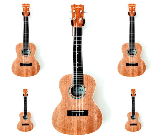 Big Little Guitar