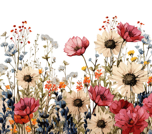 Floral Feldblumen 2 Pics